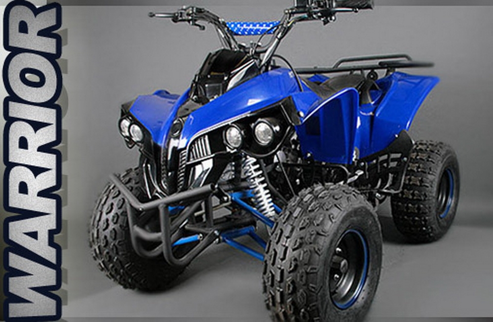 Kinderquad 125ccm Warrior Markus Funsport