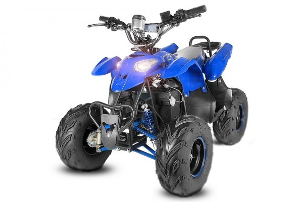 Elektroquad 800w - Unsere Auswahl unter allen verglichenenElektroquad 800w!