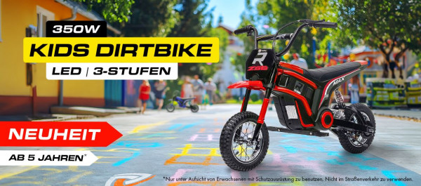 Elektro Kinder Motorrad KIDS DIRTBIKE 350W 24V/10Ah