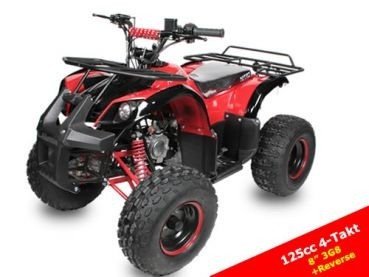 Quad 125ccm Toronto S Automatik