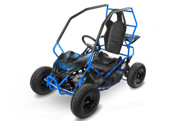 Eco Buggy 6 Zoll 1000Watt Racer