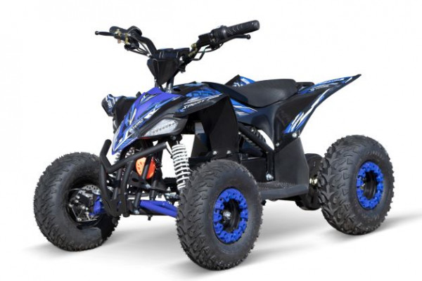 Replay Deluxe Lithium Eco mini Quad 1000W 36V 6 Zoll Quick Change Akkupack